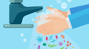 How to Properly Wash Your Hands