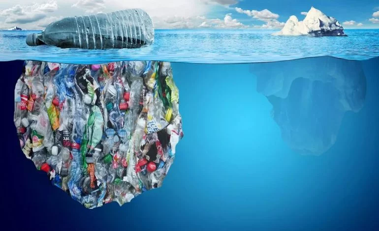 Stop Polluting the Oceans: Simple Switches to Live a Plastic Free Life